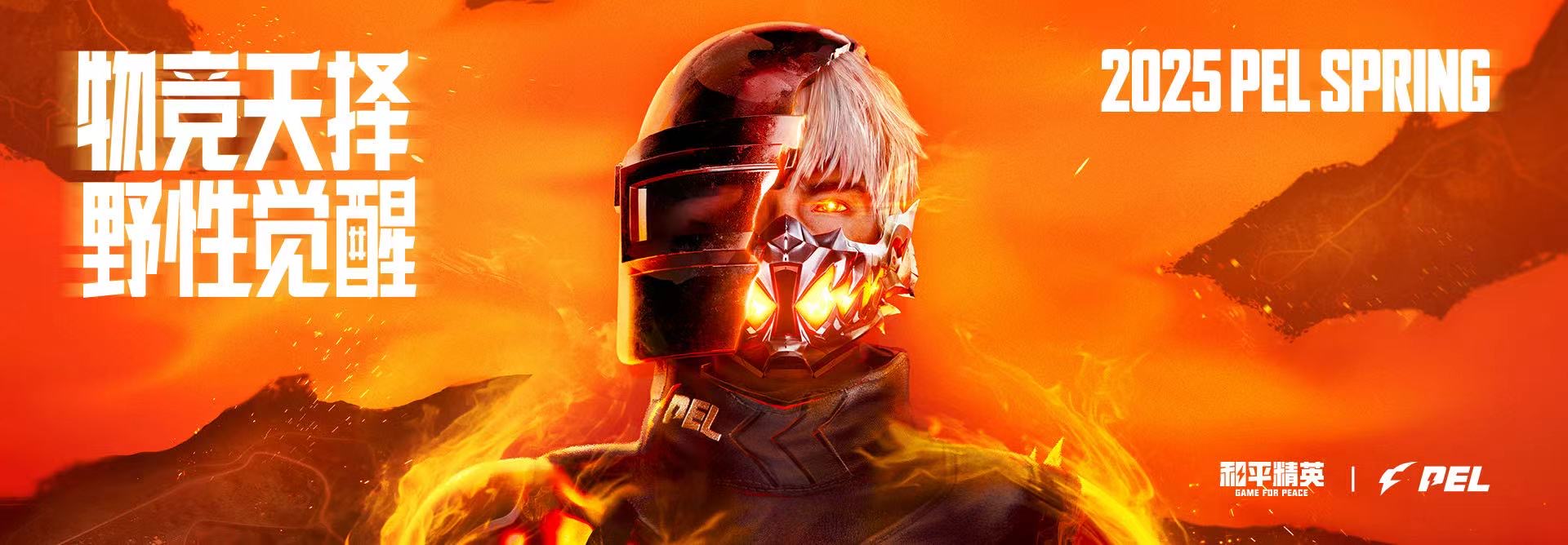 和平精英辅助【骑士直装】【雷神直装】范围打击 雷达预警 皮肤美化  掩体变色 漏打追踪 范围追踪