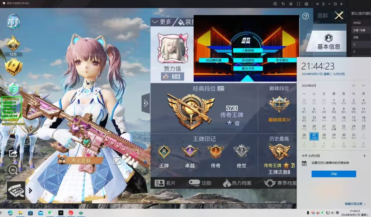 和平精英《北极熊》辅助